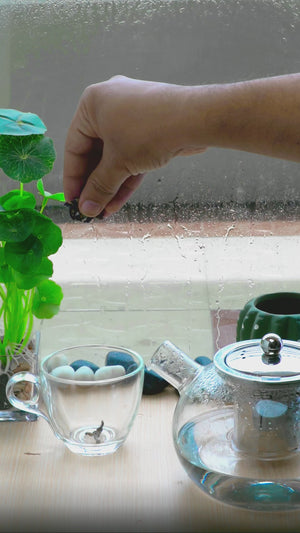 Butterfly Pea Flower 30g